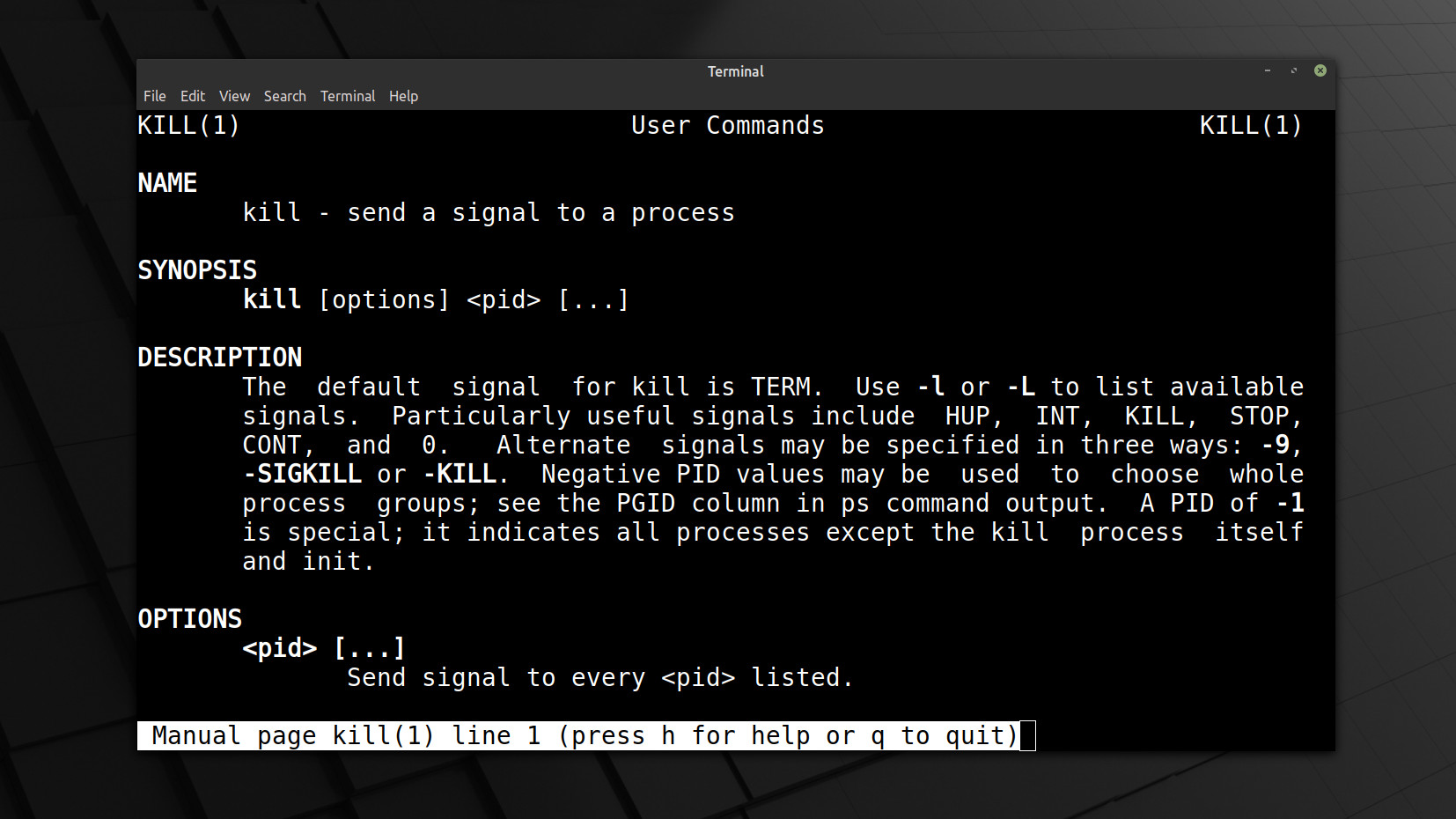 Quick Tip: Pause any process you want in Linux